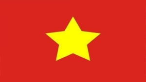 VN